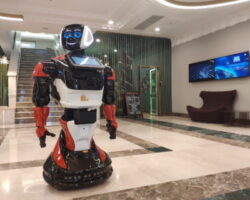 Туристов в отель Грозного станет заселять робот