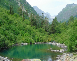 Экологи надеются отстоять Кавказский заповедник